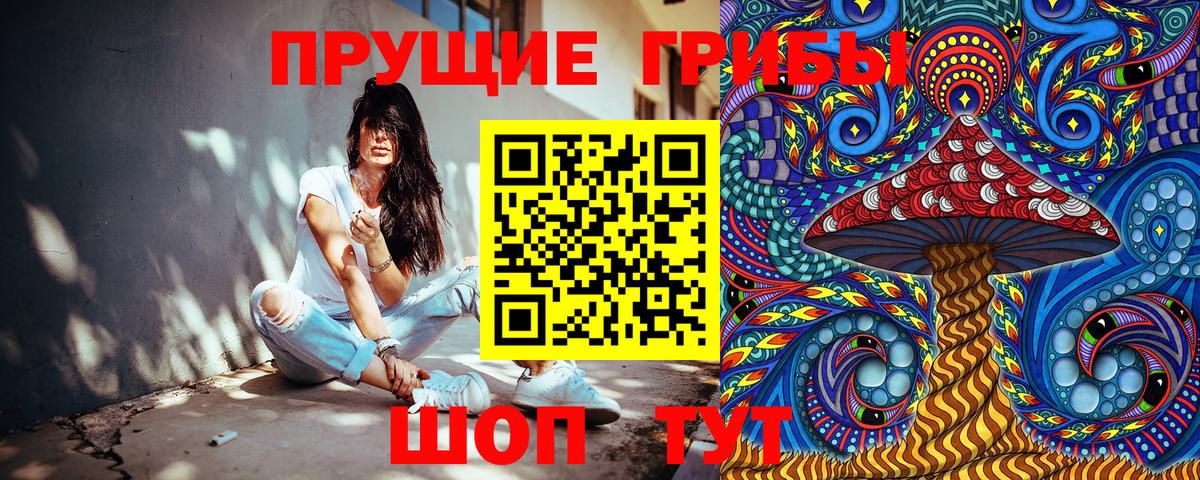 Псилоцибиновые грибы Cubensis Мариинск